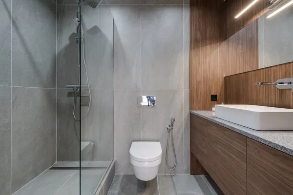 Elegant modern bathroom with walk-in shower
